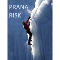 Prana Risk Insurance Services logo