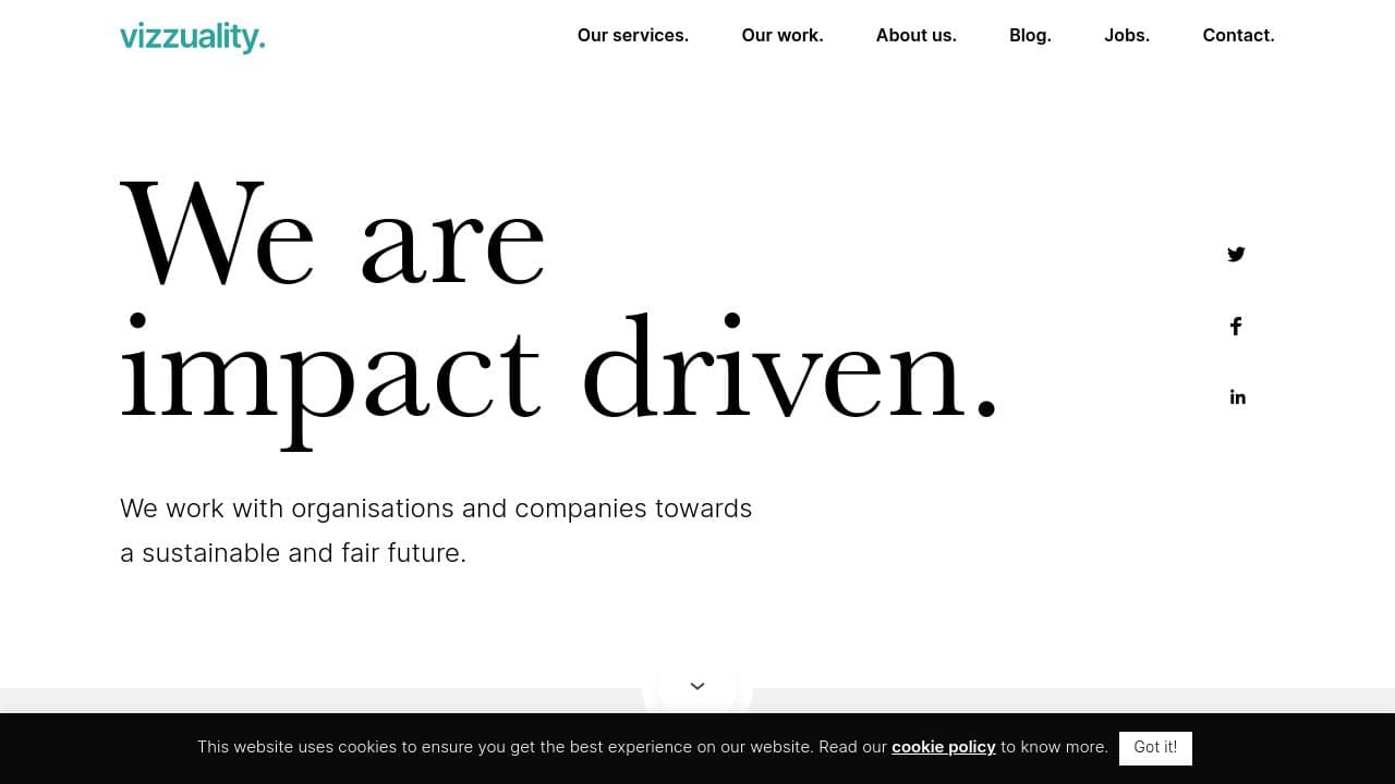 Vizzuality website screenshot