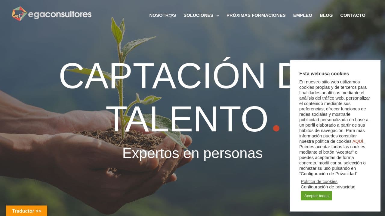 EGA CONSULTORES website screenshot