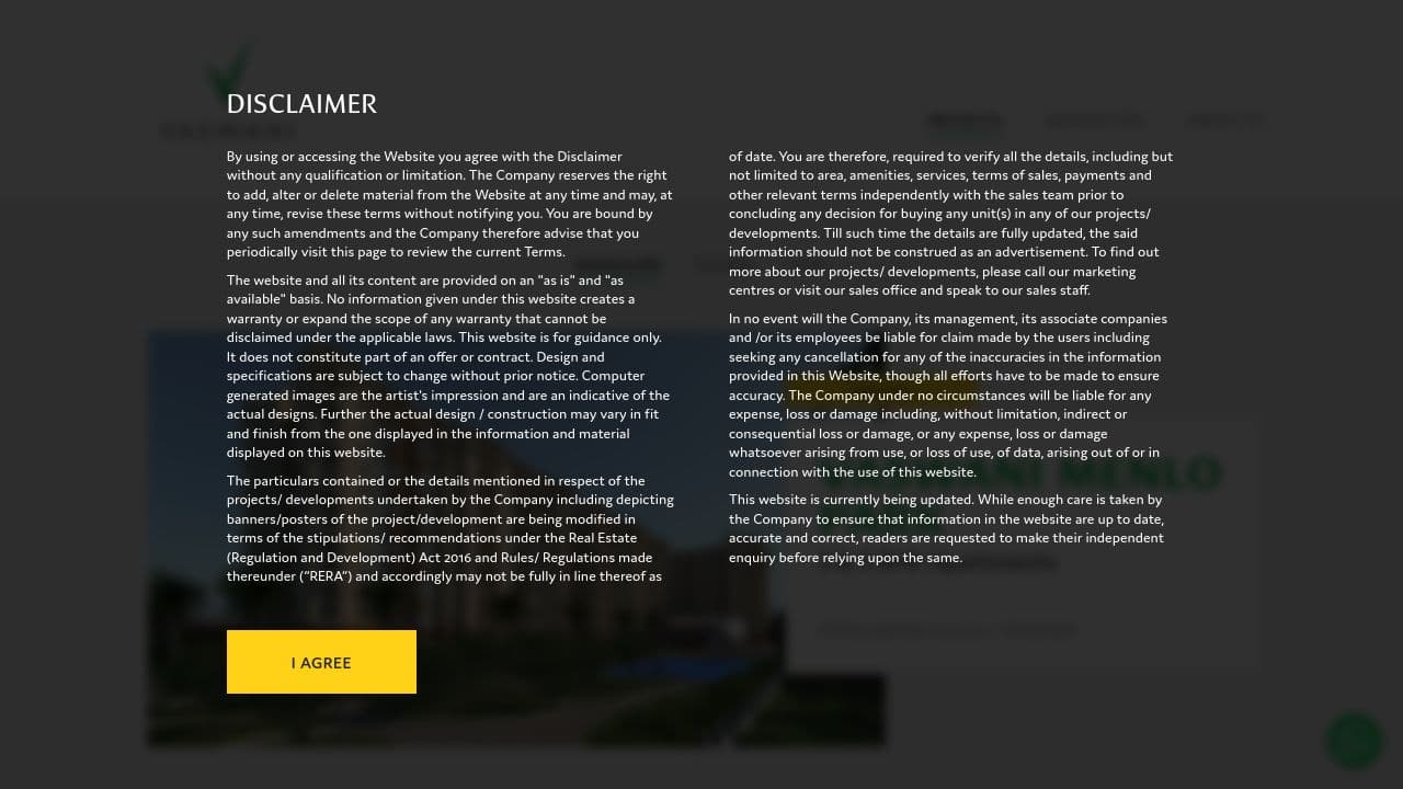 Vaswani Group website screenshot