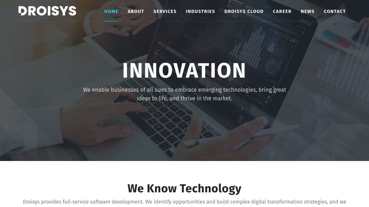Droisys website screenshot