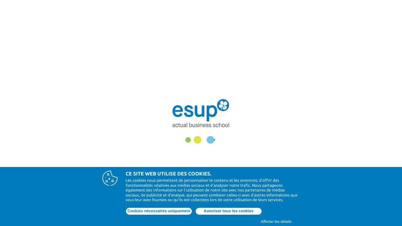 ICOGES website screenshot