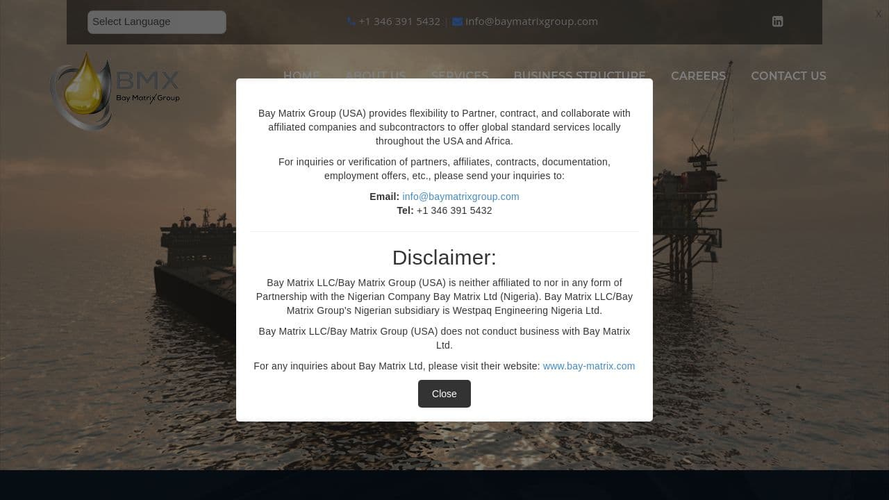 Bay Matrix Group (USA)  website screenshot