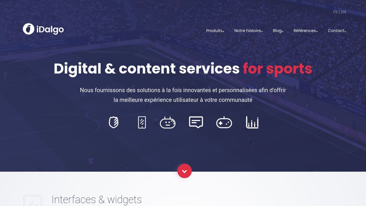 iDalgo website screenshot