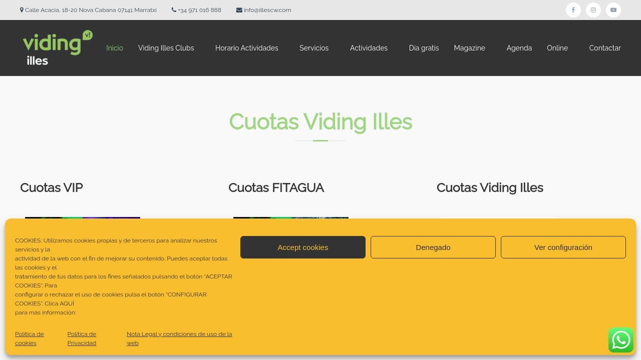 Viding Illes website screenshot