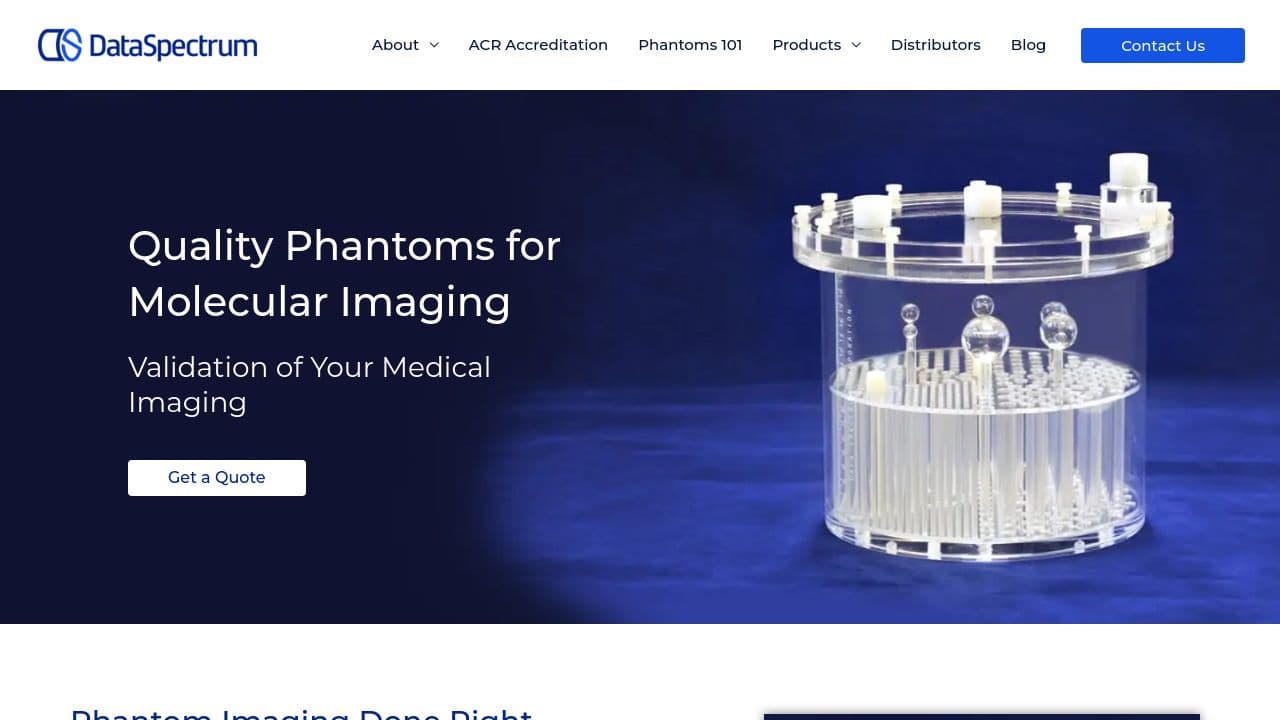 Data Spectrum  website screenshot