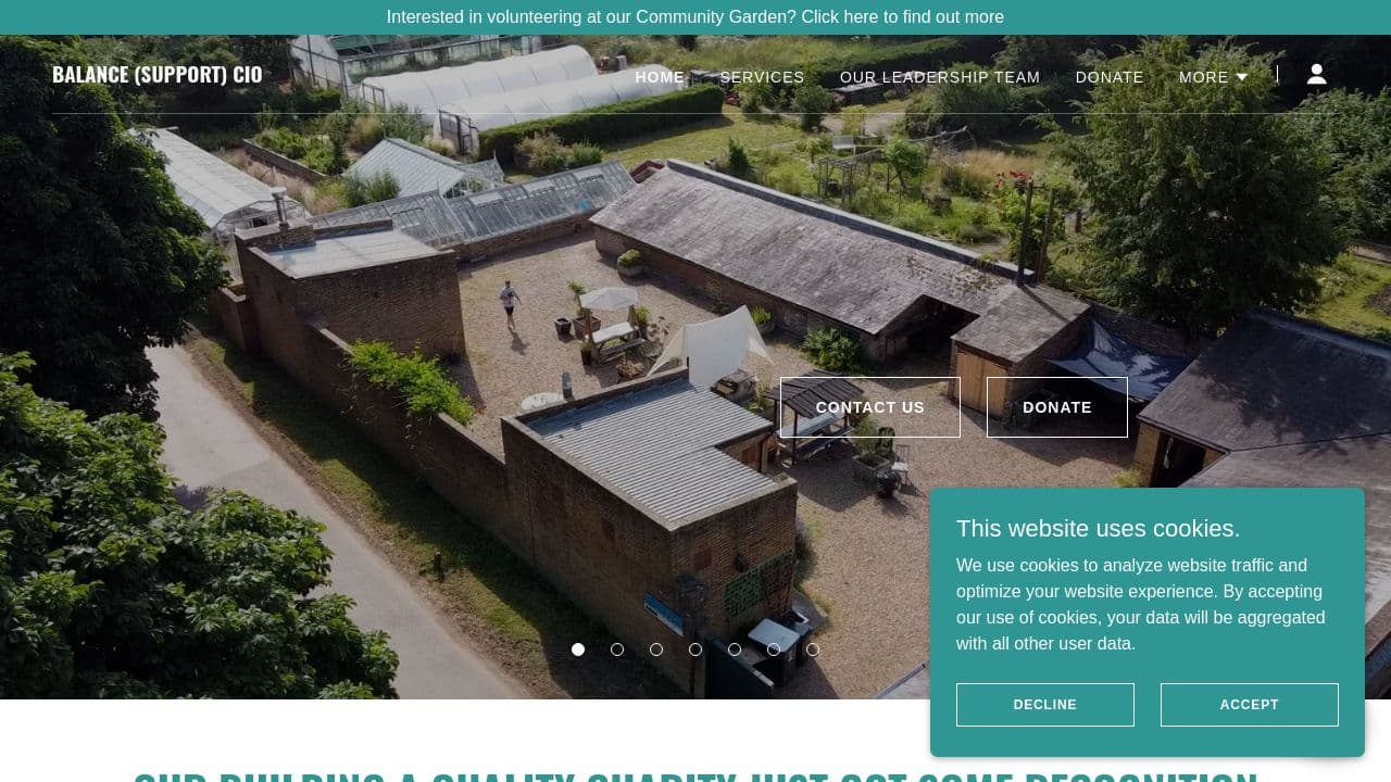 Balance Support CIO website screenshot