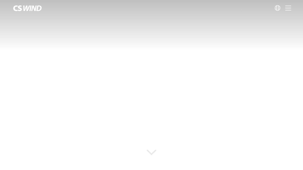 CSWIND PT website screenshot