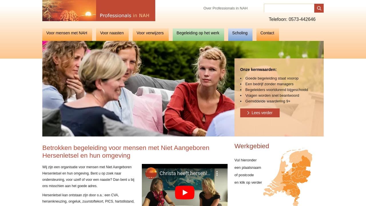 Professionals in NAH bv website screenshot