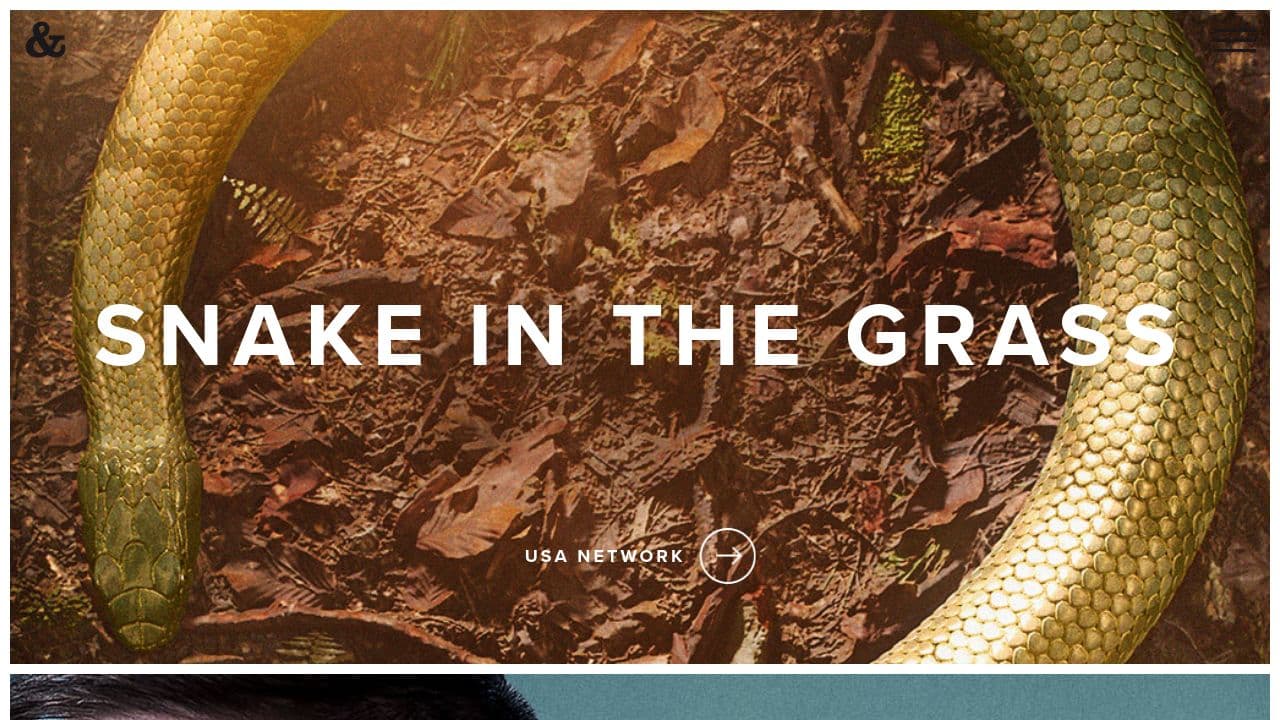 And Company website screenshot