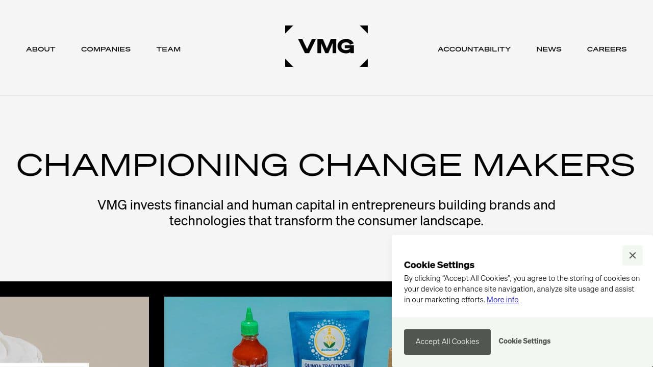 VMG Partners website screenshot