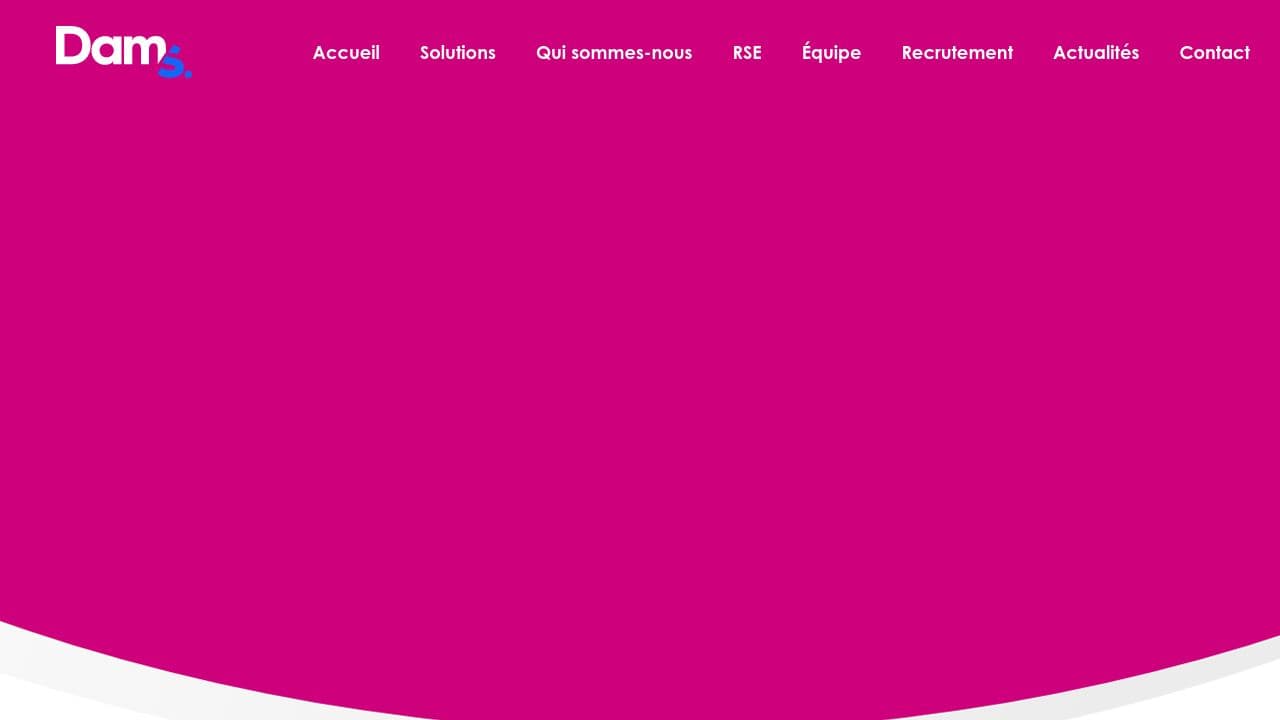 DAMS website screenshot