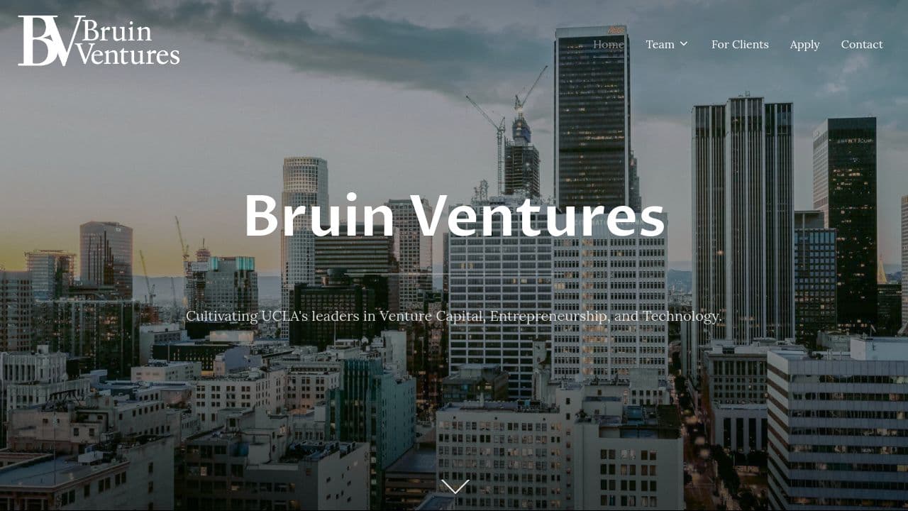 Bruin Ventures website screenshot