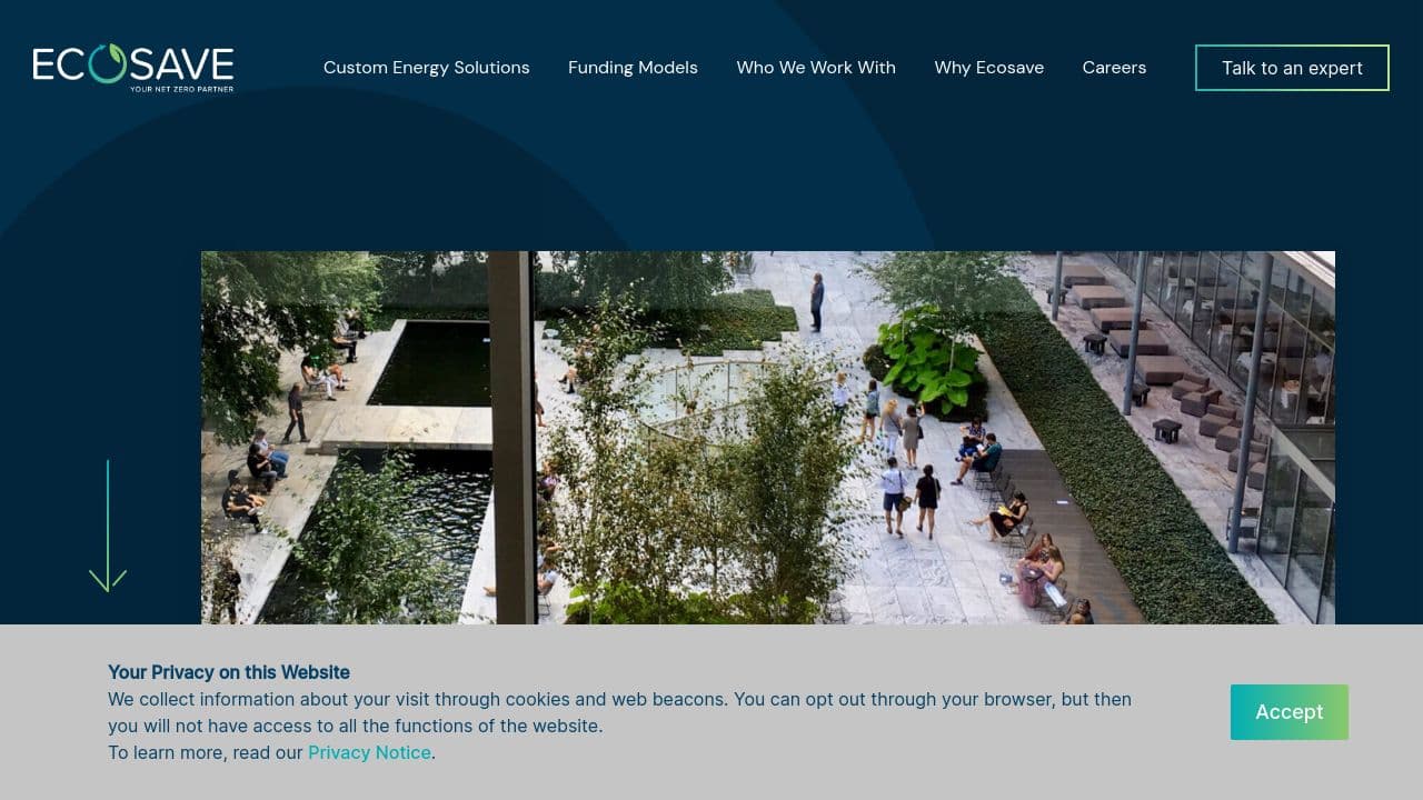 Ecosave website screenshot